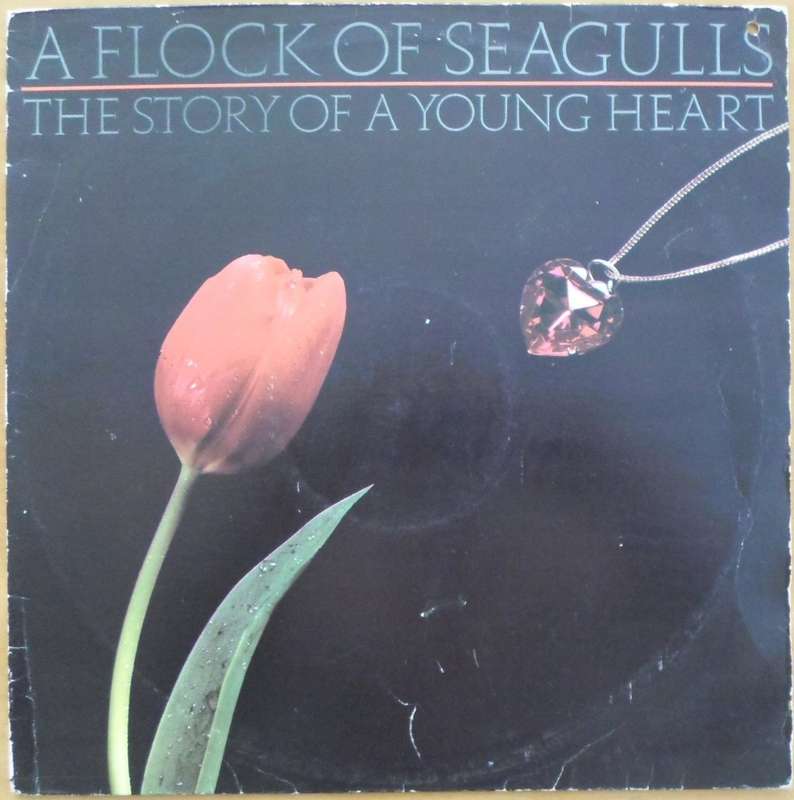 A Flock of Seagulls - The Story of a Young Heart