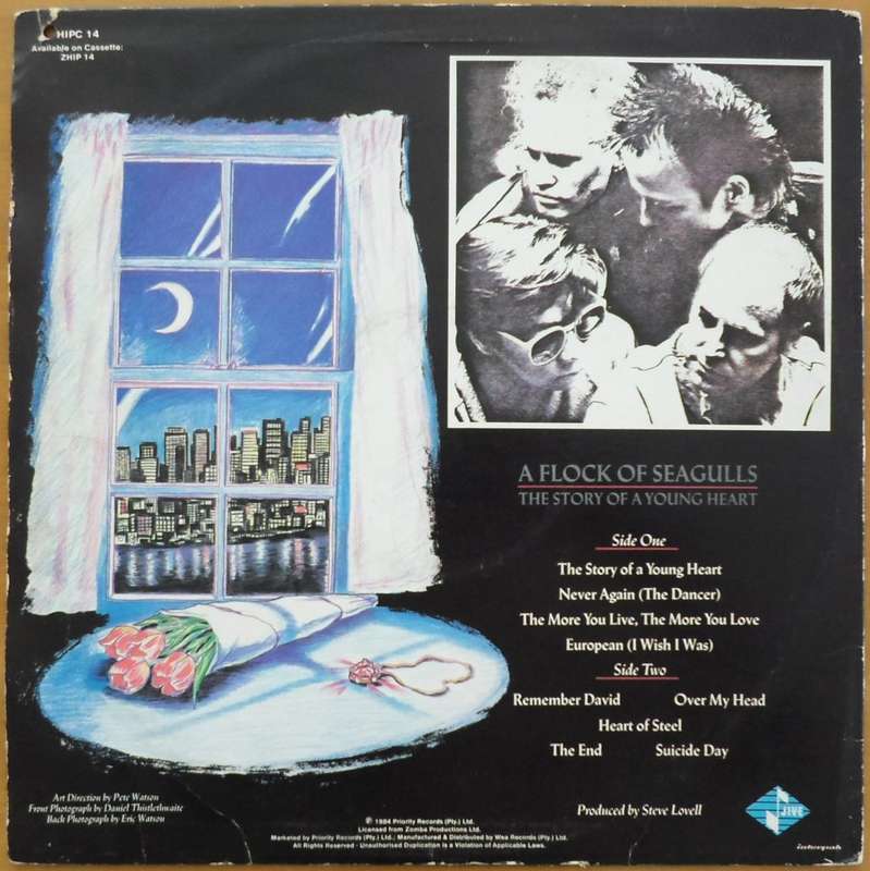 A Flock of Seagulls - The Story of a Young Heart