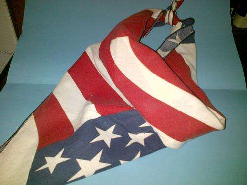 USA FLAG BANDANA