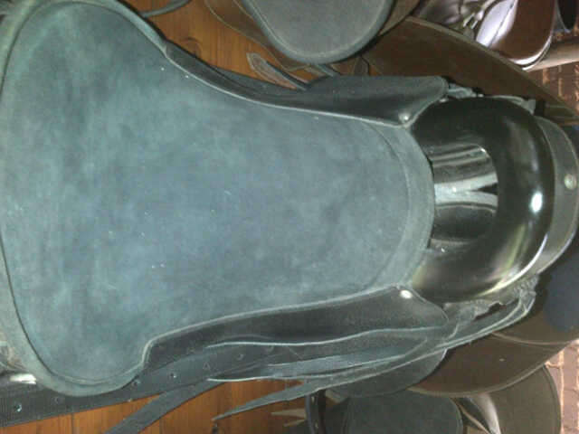Endurance Ride Saddle