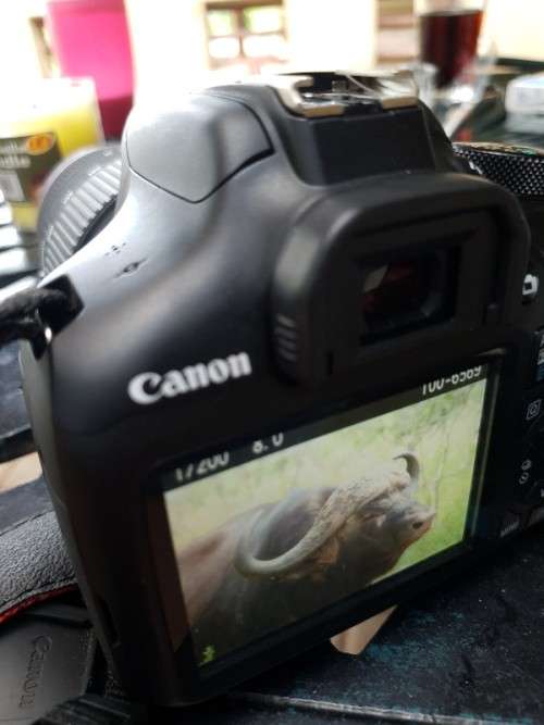 Very good condition rarely used canon 1300D with 18-55 mm lens, canon bag WIFI and more