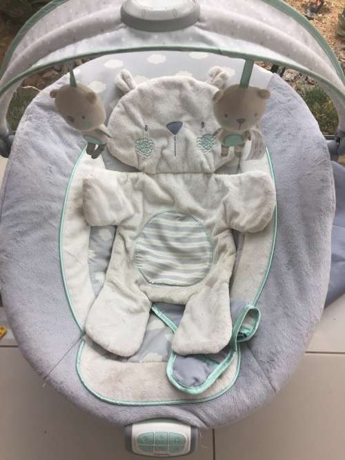 Ingenuity Bouncing seat