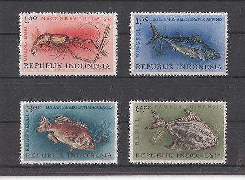 MARINE LIFE IN INDONESIA.