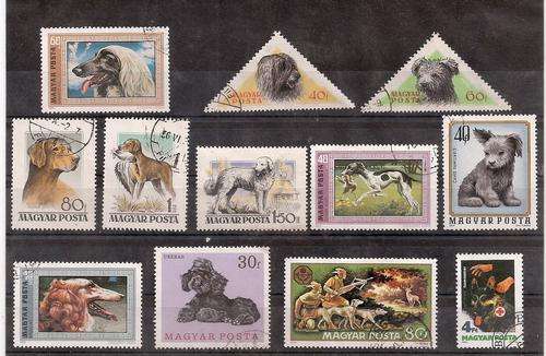 DOGS FROM HUNGARY.