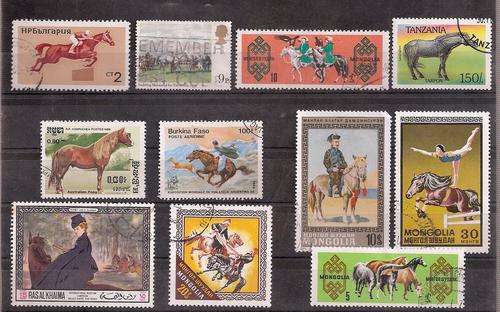 HORSES.