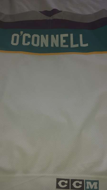 Very rare The Mighty ducks Jersey .....