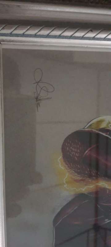 The Flash signed by Sa artist Rob Silva Picture