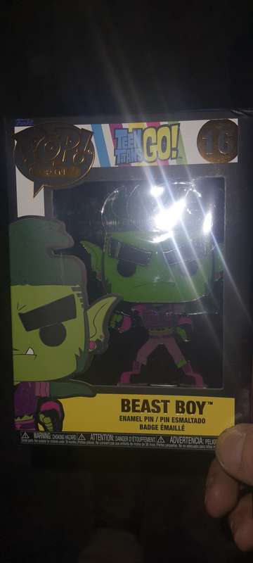 Funko Pop BeastBoy teen titans Pin