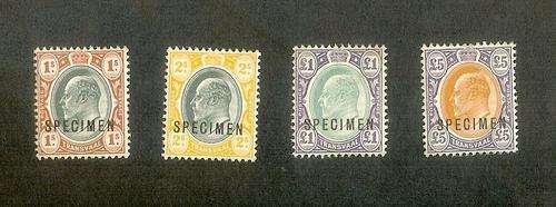RARITY: TRANSVAAL 1903 KING EDWARD VII SPECIMEN SET!