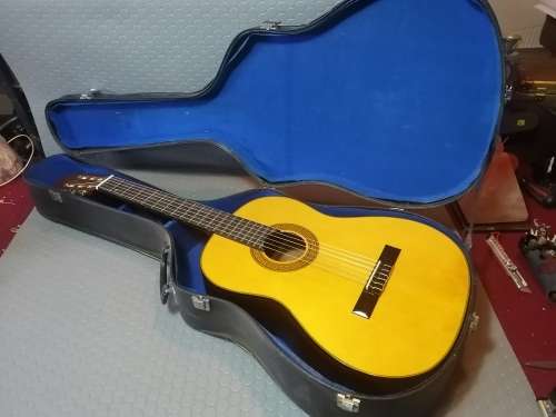 Hondo guitars H-410 6-String Acoustic Guitar in Case