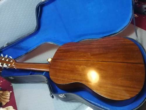 Hondo guitars H-410 6-String Acoustic Guitar in Case