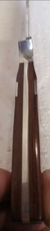 Stunning Columbia jinlang A09 Hunting Knife Made in USA (With pouch)