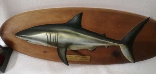 Great White Shark Sculpture Mounted on a Wooden Plaque