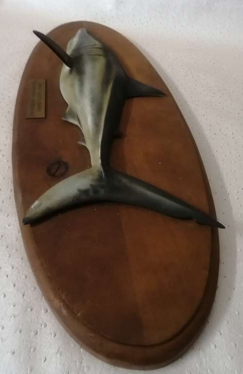 Great White Shark Sculpture Mounted on a Wooden Plaque
