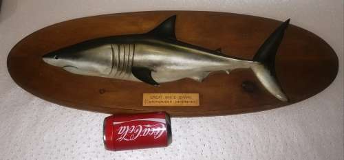 Great White Shark Sculpture Mounted on a Wooden Plaque