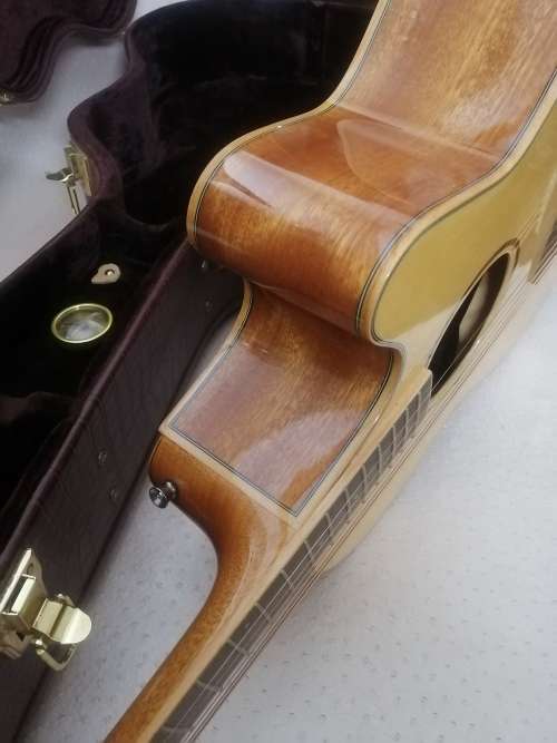 Exquisite Dreambow Electric Acoustic Guitar In a Leather Bound Temperature Controled Case