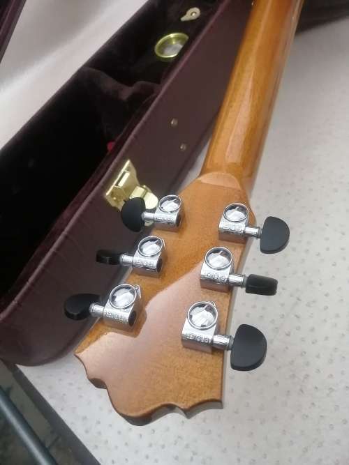 Exquisite Dreambow Electric Acoustic Guitar In a Leather Bound Temperature Controled Case