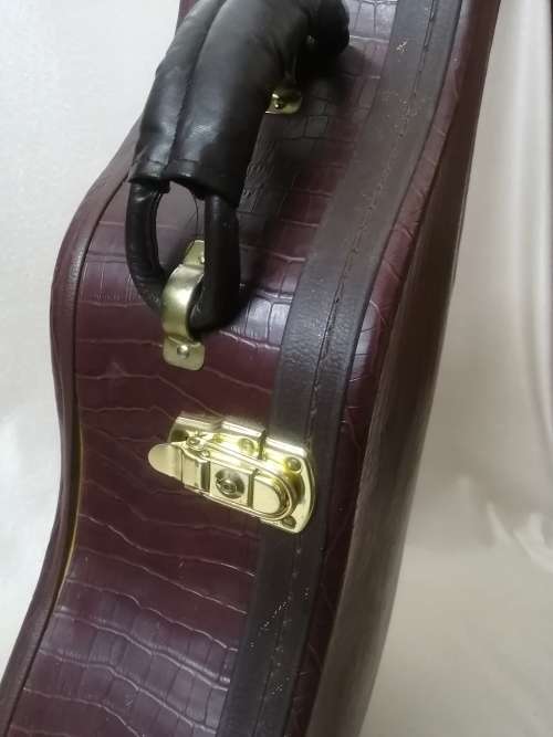 Exquisite Dreambow Electric Acoustic Guitar In a Leather Bound Temperature Controled Case