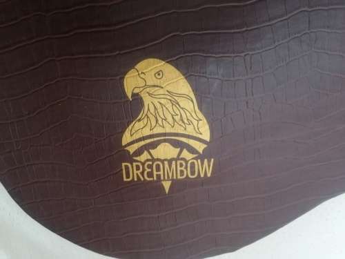 Exquisite Dreambow Electric Acoustic Guitar In a Leather Bound Temperature Controled Case