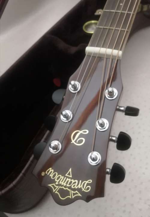 Exquisite Dreambow Electric Acoustic Guitar In a Leather Bound Temperature Controled Case