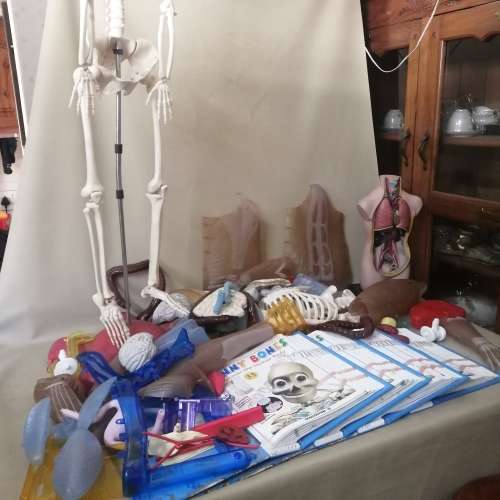 Absolutely Massive Funny Bones DeAgostini Discover the Human Body Collection