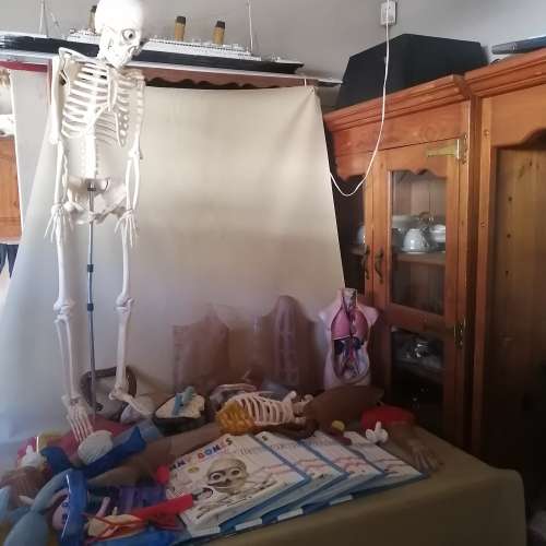 Absolutely Massive Funny Bones DeAgostini Discover the Human Body Collection