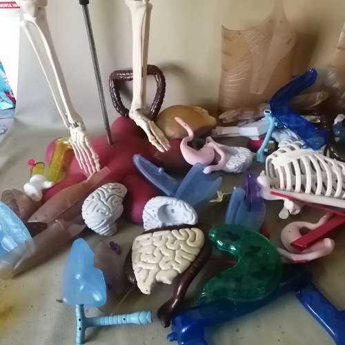 Absolutely Massive Funny Bones DeAgostini Discover the Human Body Collection