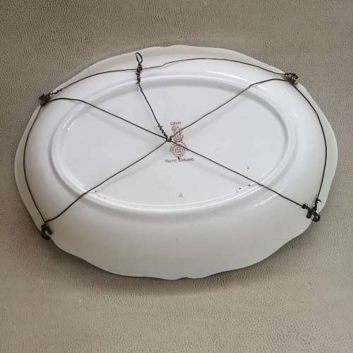 Magnificent Large Original Royal Doulton Seriesware Plate 280 mm x 200mm