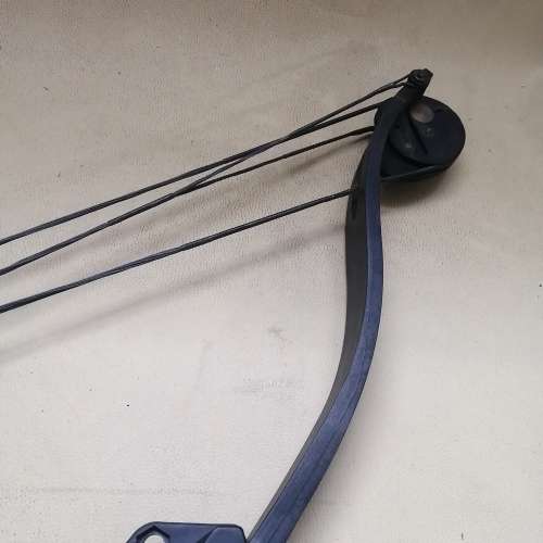 AWESOME COBRA COMPOUND BOW