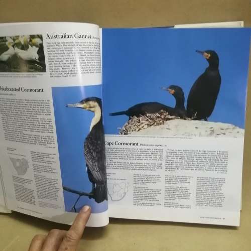 Complete Book of Southern African Birds Hardcover  January 1, 1989