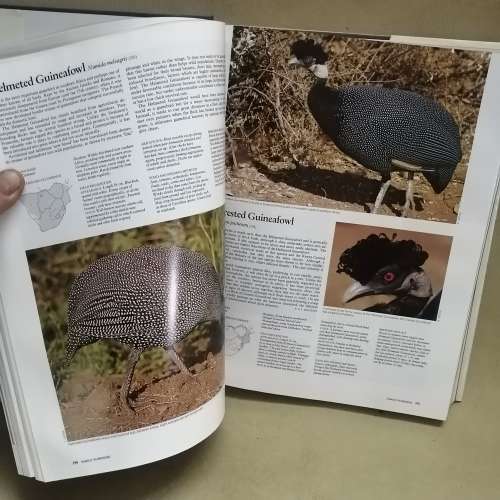 Complete Book of Southern African Birds Hardcover  January 1, 1989