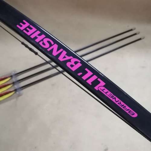 LIL BANSHEE BARNETT 25 LBS COMPOUND BOW WITH ARROWS