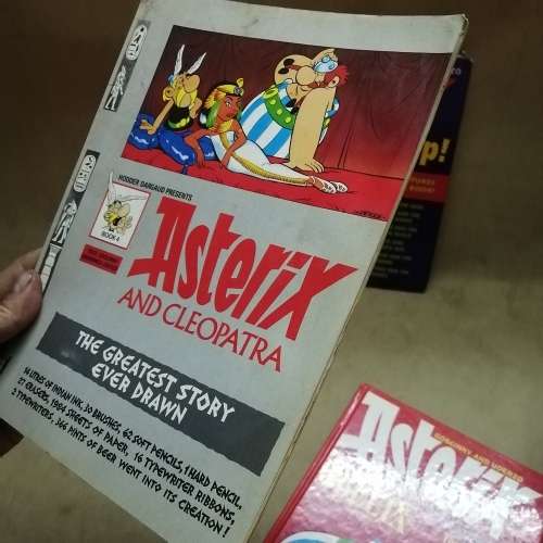 MASSIVE ASTERIX 6 DISK DVD AND BOOK COLLECTION