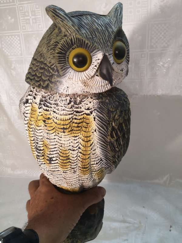 Scare Doves, Squirrels, And Mice Away With This Realistic Fake Owl Statue - Rotating bobble Head