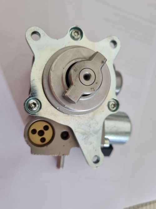 Peugeot Citroen High Pressure Fuel Pump 1920LL 13517573436 9819938480 13517588879 9819938480
