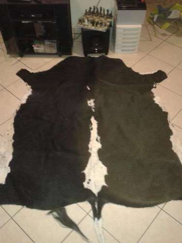 Nguni skin - SPECIAL!!!!