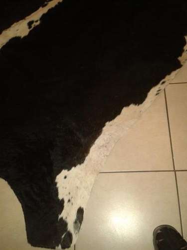 Nguni skin