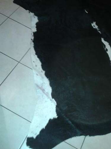 Nguni skin