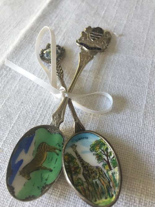 2 beautiful Epns enameled spoons.