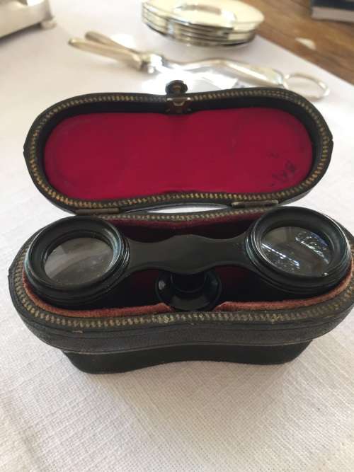 Antique binoculars in beautiful leather case
