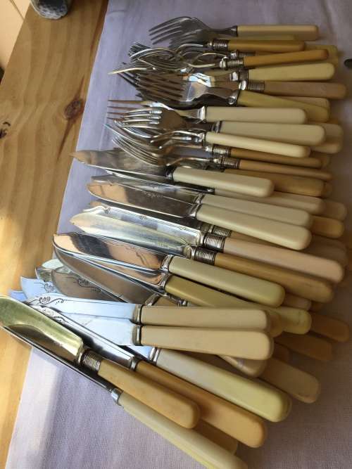 BONE HANDLED Fish knives snd forksALL MARKED TO R20