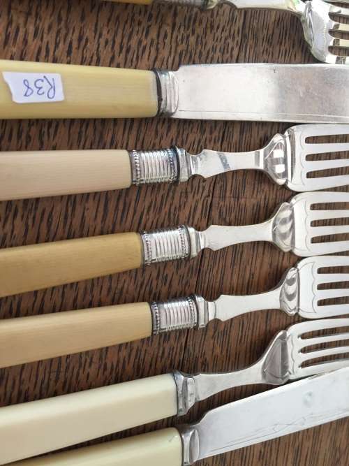 BONE HANDLED Fish knives snd forksALL MARKED TO R20