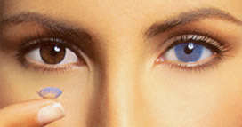 NEW Freshlook Colour Contact Lenses! NOW IN STOCK!