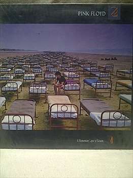 Pink Floyd : A Momentary Lapse of Reason : LP in good condition