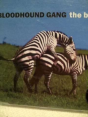 Bloodhound Gang : The Bad Touch: CD Single : CD