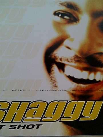 Shaggy : Hot Shot : CD