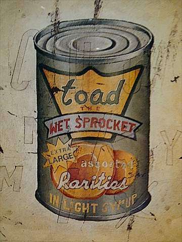 Toad and the Wet Spocket:In Light Syrup : CD