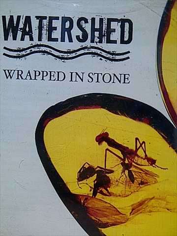 Watershed: Wrapped in Stone : CD
