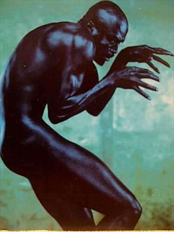 Seal: Human Being : CD