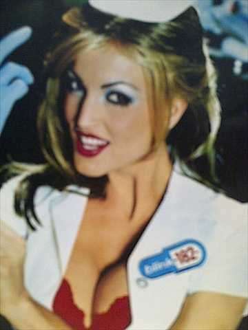 Blink 182: Enema of the State : CD